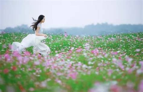 漫步在春天里花丛里的少女画面里洋溢着春天的气息🌸 🌸 🌸
