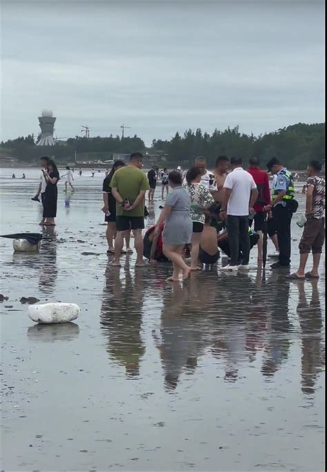 游客拍照时被巨浪卷入大海！危急时刻，游来一只“海豚”|救援|落水者_新浪新闻