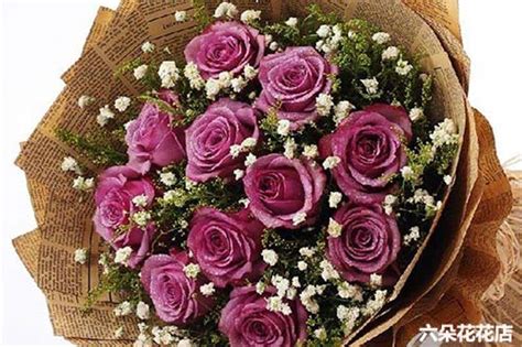 紫玫瑰的花语及象征意义 - 蜜源植物 - 酷蜜蜂