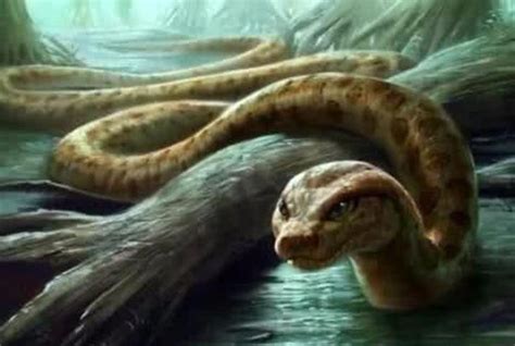 大蛇为蟒，大蚺为蛟！这就是史前最大的巨蟒，网友：此乃蛟龙