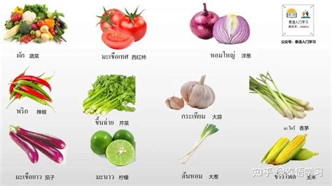 泰语中常见蔬菜名称，你知道吗？（附图片及语音） - 知乎