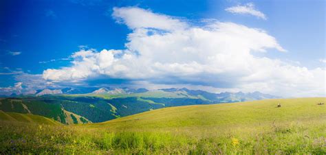 6月的喀拉峻，伊犁最美的立体草原，无与伦比的美丽！