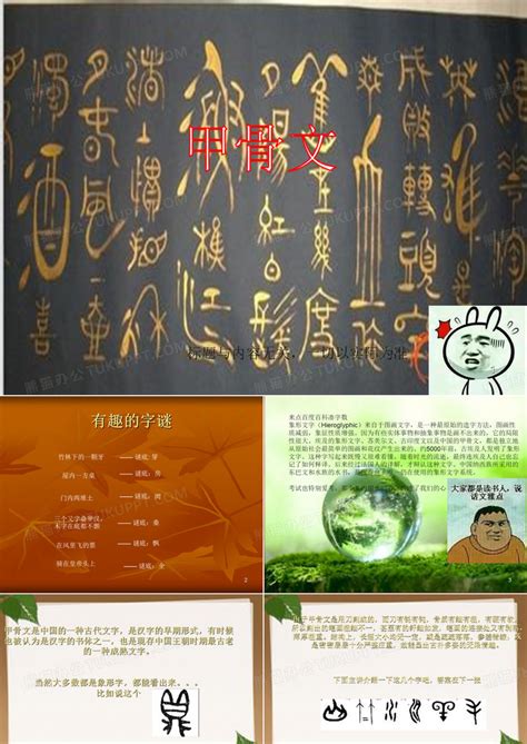 汉字的起源与演变PPT模板下载_编号leypdpzl_熊猫办公