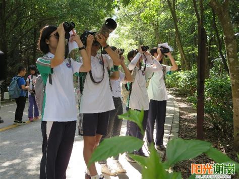 银瓶山森林公园谢岗景区举办首届观鸟比赛_阳光谢岗