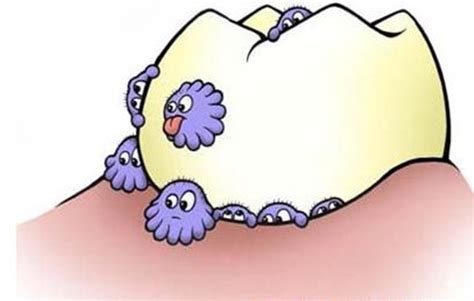 牙齿上的虫子图片