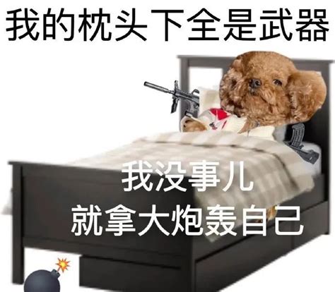 不卑微了我要发疯表情包图片