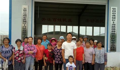 合作社挣钱了，也带动社员共同致富 - 亳州市谯城区农民合作社联合会