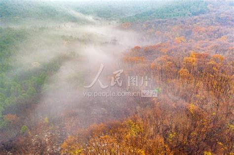 安徽淮北：塌陷废地变身绿色休闲公园-人民图片网