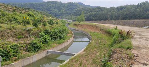 阳新县富水灌区续建配套与节水改造项目一期工程建成通水|灌区|阳新县|通水_新浪新闻