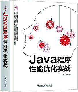 Java程序性能优化实战 pdf电子书下载-码农书籍网