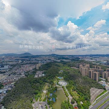 松岗人民医院374(2021年143米)深圳宝安-全景再现
