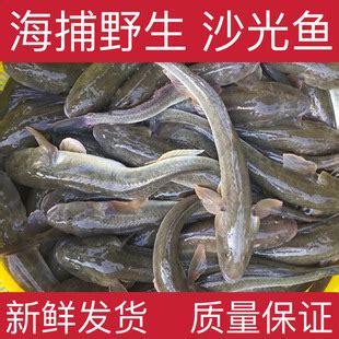 连云港特产鲜活新鲜沙逛鱼海产品鱼类酒店海鲜批发营养丰富-阿里巴巴