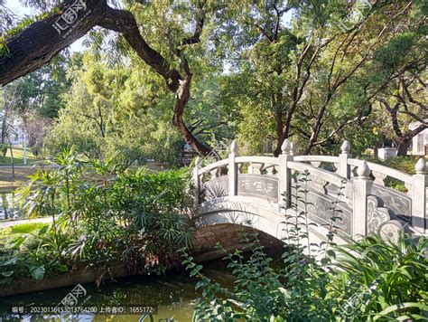 户外田野美丽的木桥高清图片下载-正版图片307634909-摄图网