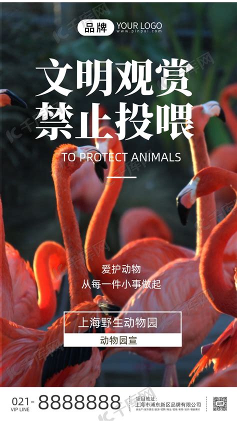 保护动物禁止投喂公益活动海报海报模板下载-千库网