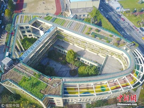 北京市海淀区二十中附属实验学校屋顶绿化项目_北林地景