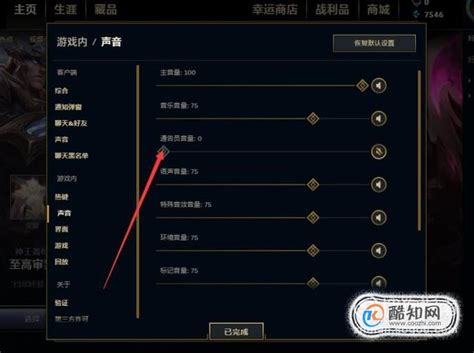 《lol手游》设置页面中文翻译图一览 设置页面中文对照表一览_九游手机游戏