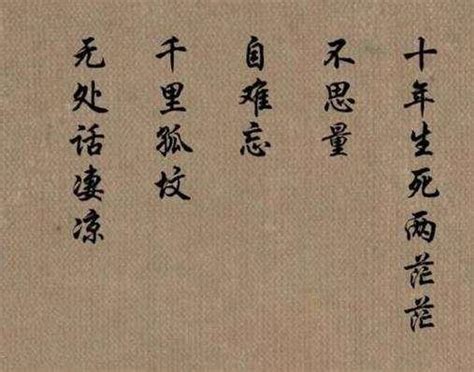 有一种思念，叫苏轼的江城子，开头就已泪崩 - 知乎