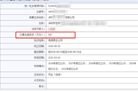 深圳香港有限公司注册资本注意事项有哪些-红树叶财务