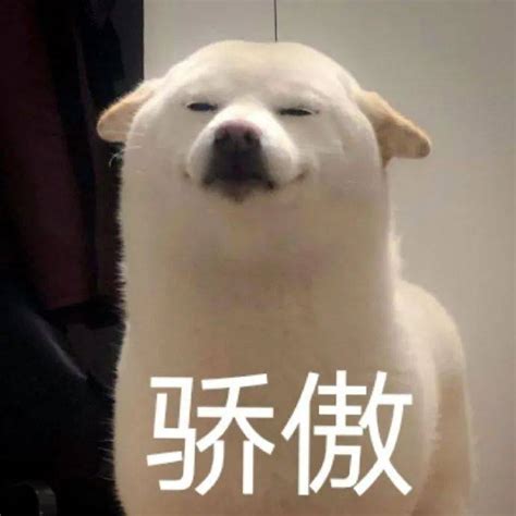 无辜表情包图片