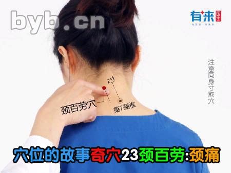 百劳的准确位置图图片 百劳的准确位置图图片