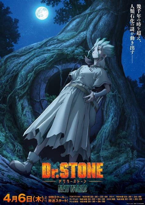 《Dr.STONE 石纪元》动画第三季视觉图公开，定档10月12日！-次元侍奉部