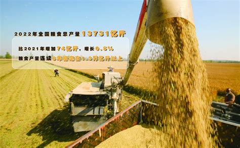 全国粮食增产丰收 为稳定宏观经济大盘提供有力支撑|上海证券报