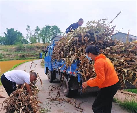 河北唐山：秸秆回收 助农增收-人民图片网