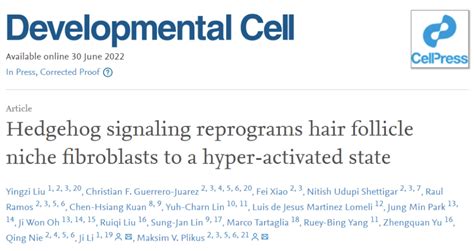 《细胞》子刊：解决雄秃的方法，中国科学家找到了！湘雅医院团队发现一种可驱动毛发生长的信号分子，微量注射或能实现“生发自由” - 医疗健康专区 ...