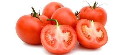 番茄为什么出现网筋果？番茄用什么肥料好？ - 知乎