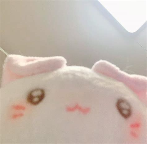 你醒啦图片