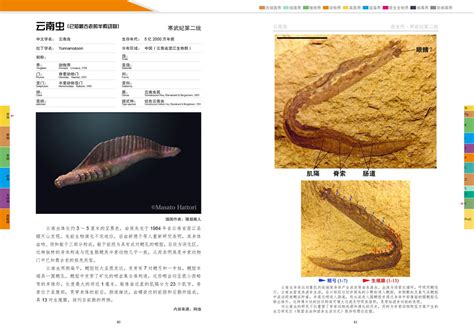 赵丽霞 的图像结果