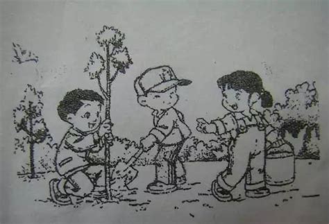 三个孩子植树看图写话,三个人植树的看图写话(第2页)_大山谷图库