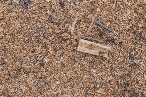 小型下脚料废木料粉碎机让资源有利用价值 - 知乎