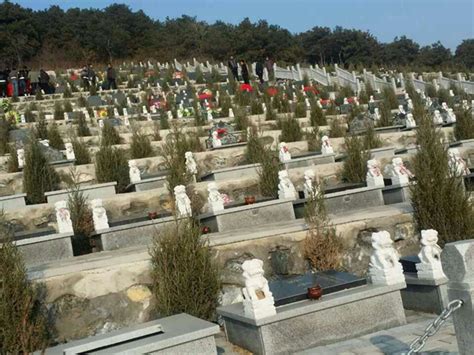 八达岭陵园景观之传统墓区-北京公墓网