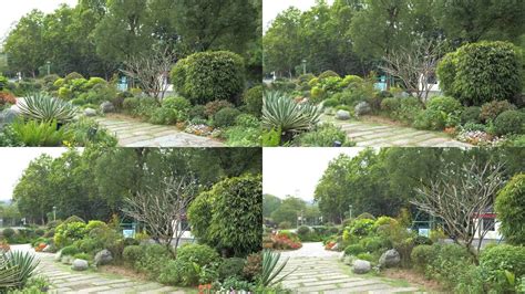 亚洲花卉主题展园9月正式开园 请你为这个大花园取个好名字