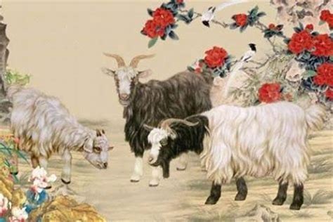 79年属羊的今年的运气_文昌_若朴堂文化