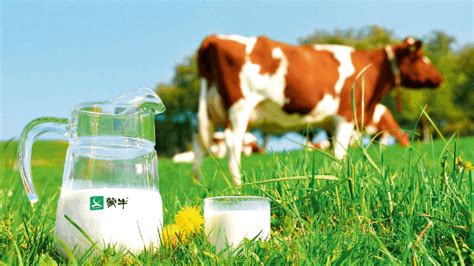 蒙牛ESG评级三年三大步，持续引领乳业可持续发展 - 长江商报官方网站