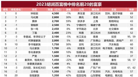 2020中国首富排行_富豪排行榜2020中国新名单：前100名富豪身家排名对比(2)_中国排行网