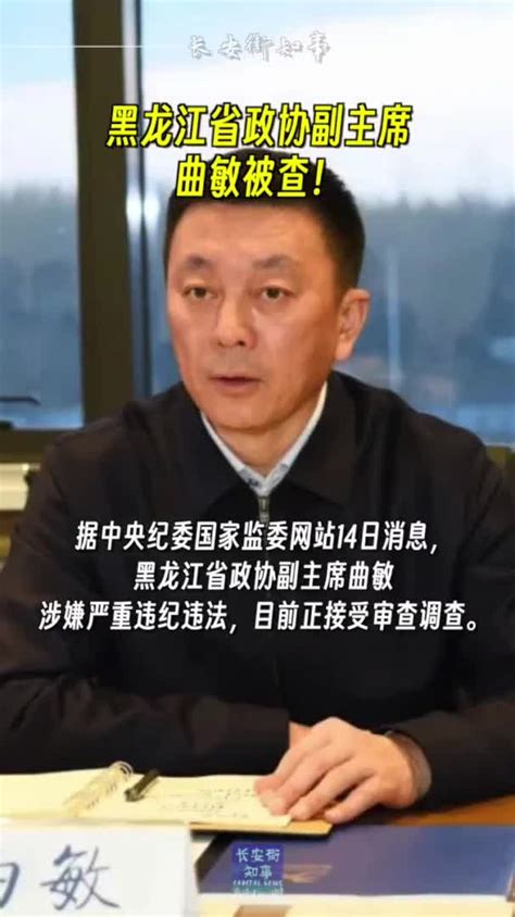 打虎！黑龙江省政协副主席曲敏被查_手机新浪网