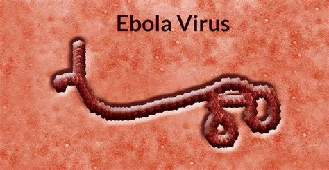 病毒细菌图片-埃博拉病毒3D抽象概念素材-高清图片-摄影照片-寻图免费打包下载