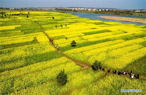 Breathtaking spring scenery across China_In Pictures_www.newsgd.com