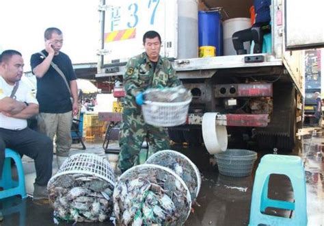 海鲜正在涨价？烟台海鲜市场最新价格曝光！螃蟹价格是…_市民