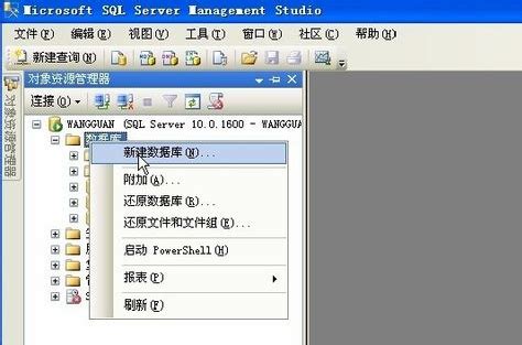 sql server 2008下载-Microsoft SQL Server 2008官方版-华军软件园