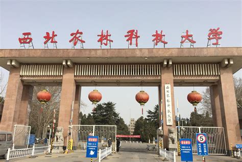 陕西省渭河桥——【老百晓集桥】