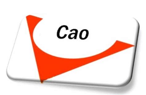 CAO Offers Undergraduate