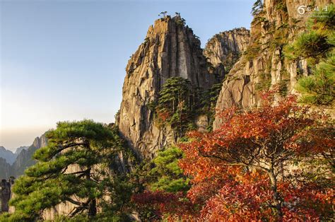 秋天黄山灌木植被高清图片下载_红动中国