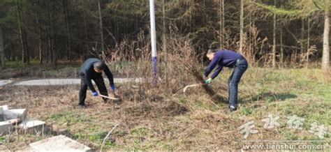 天水市墁坪农场全员开垦荒草地建设“绿色有机无公害蔬菜新基地”--天水在线