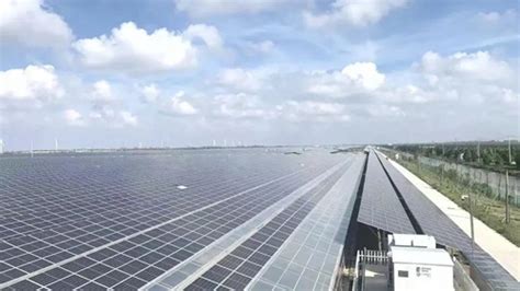 崇明：打造“碳中和”示范区，可再生能源项目不断上马- 上海市崇明区人民政府