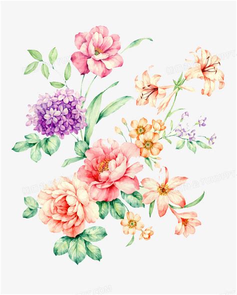 百花图图片