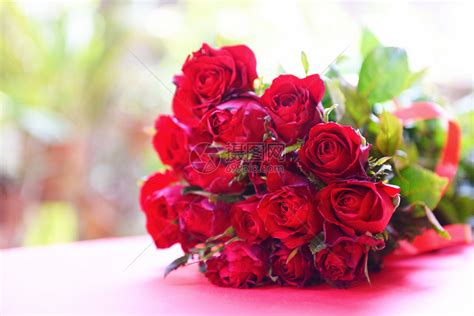 红玫瑰花是浪漫爱情的概念与象征高清图片下载-正版图片305925900-摄图网
